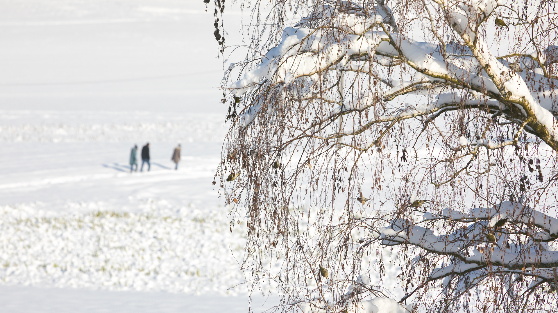 Winterspaziergang