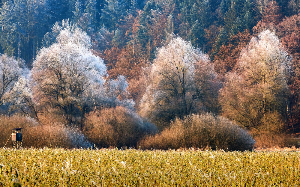 Winterspaziergang