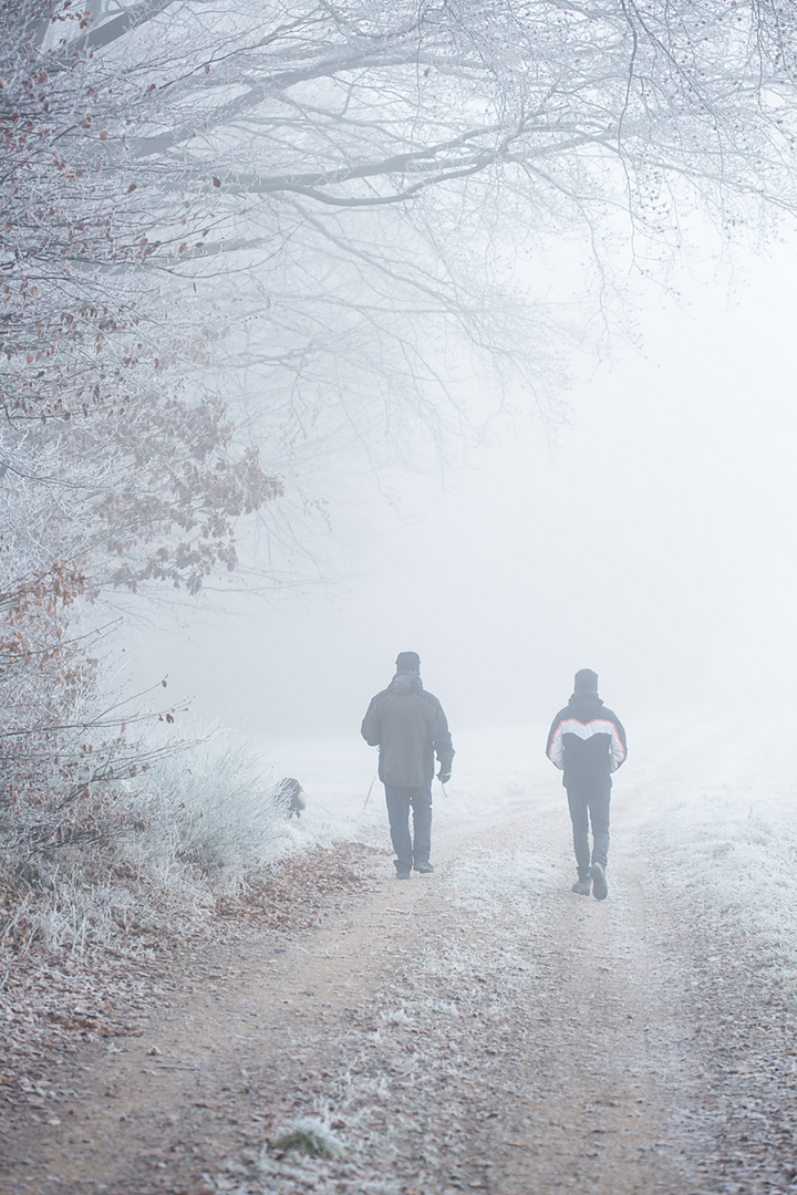 Winterspaziergang