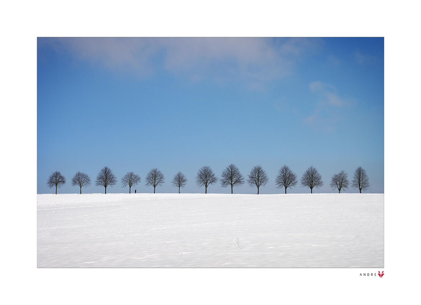 WINTERSPAZIERGANG