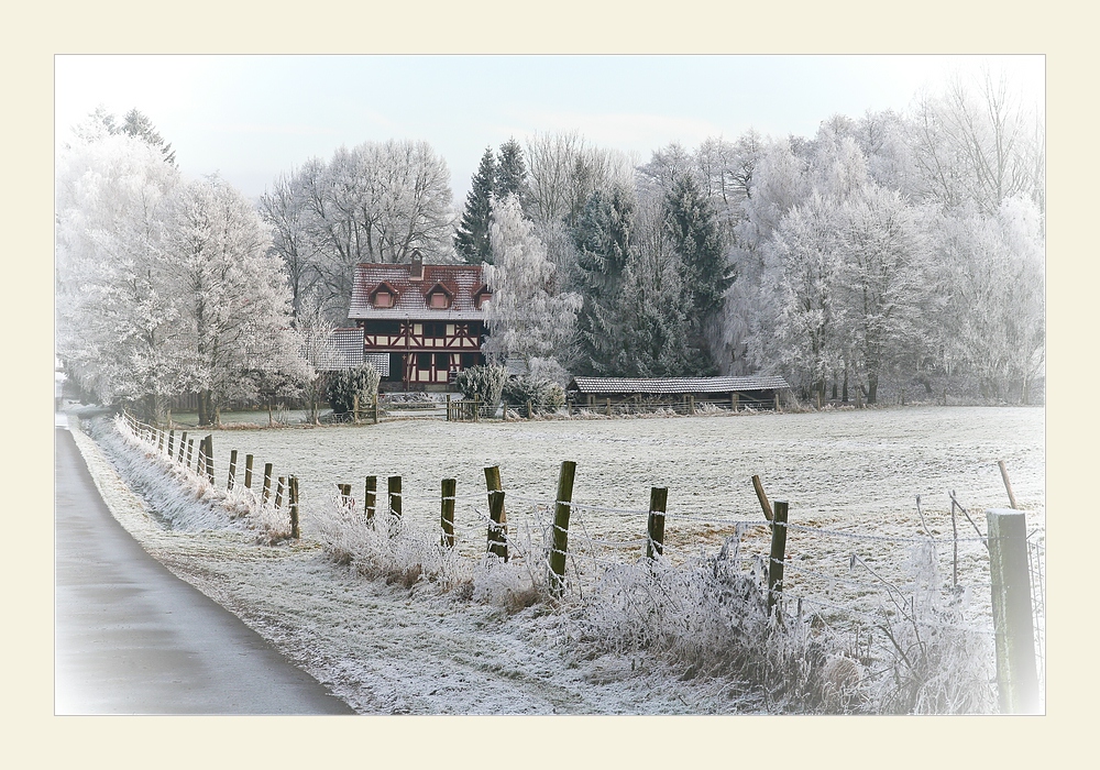 Winterspaziergang