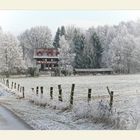 Winterspaziergang