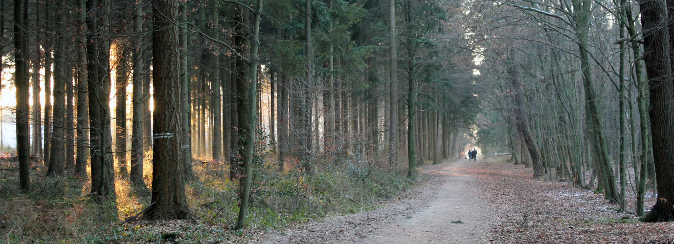 Winterspaziergang