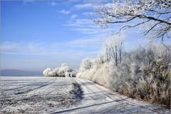 Winterspaziergang