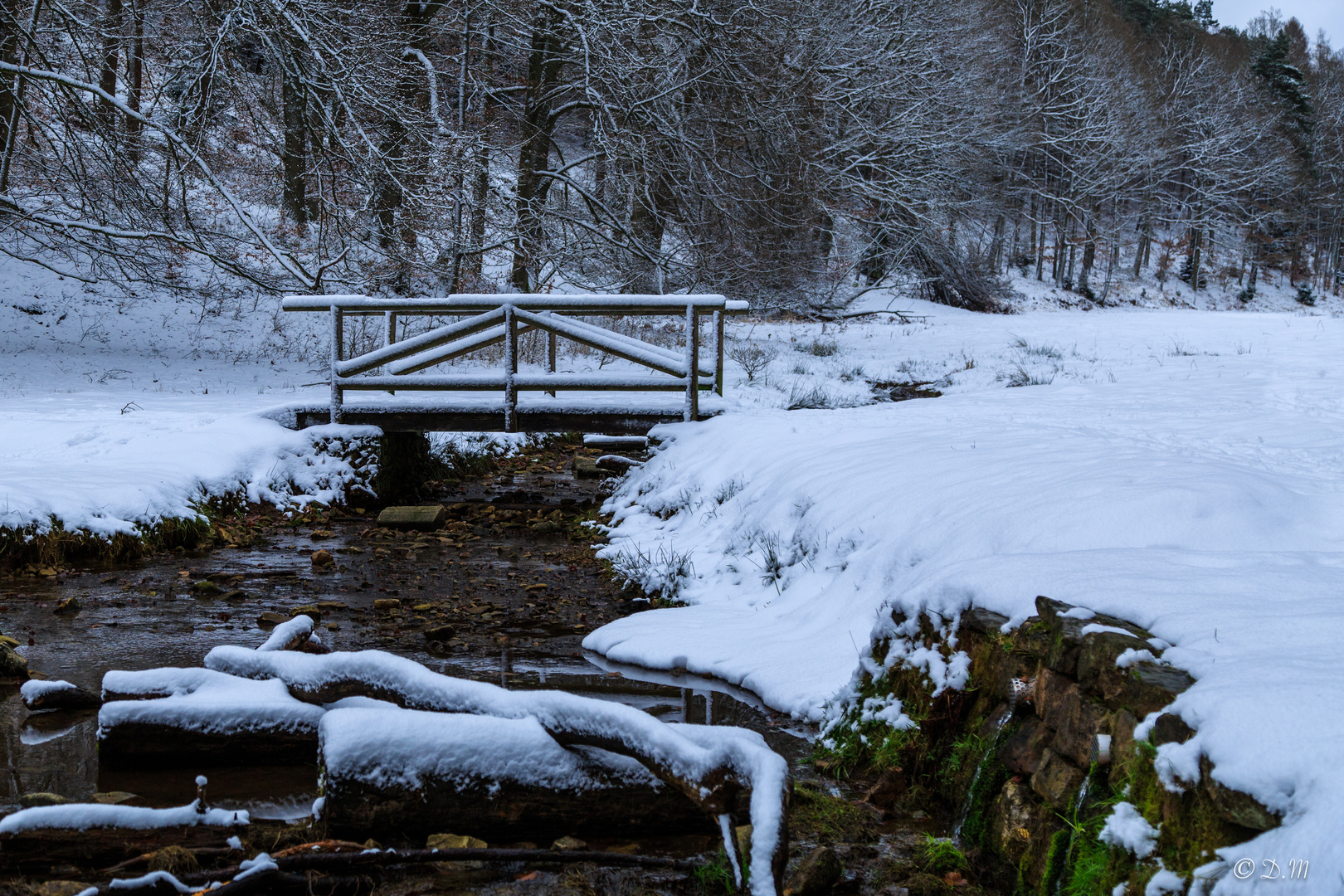 Winterspaziergang