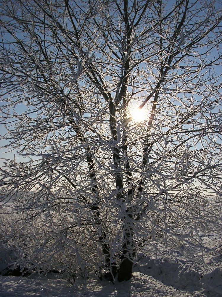 Winterspaziergang