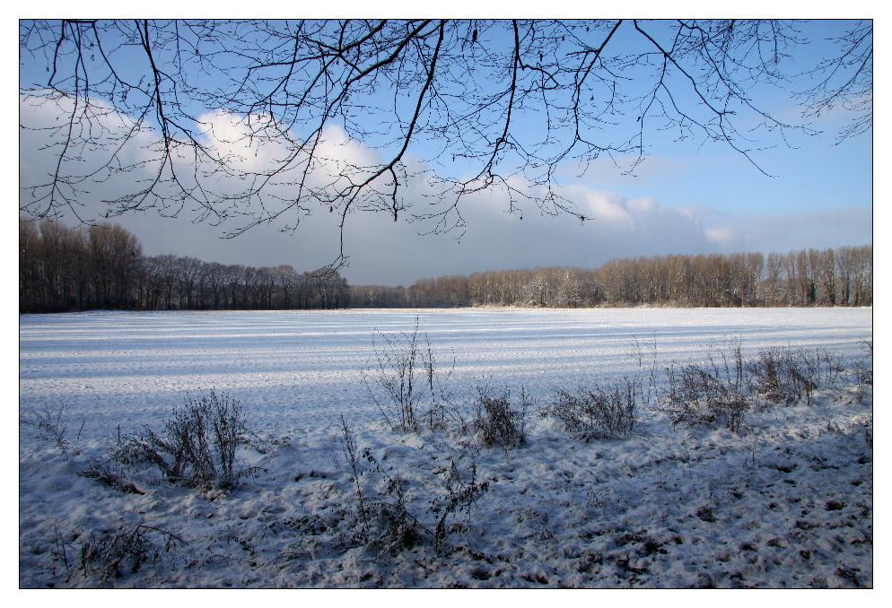 Winterspaziergang