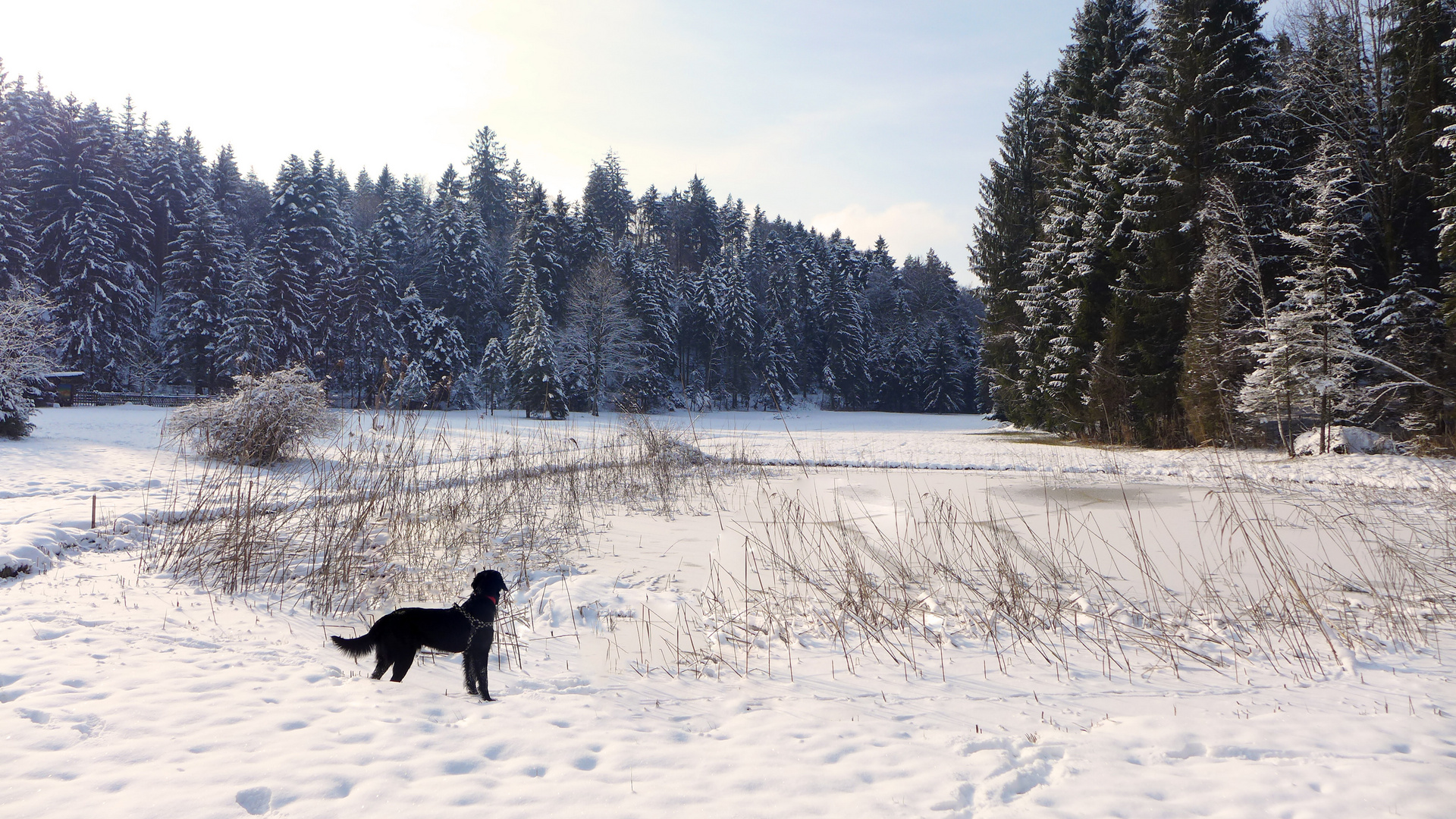 Winterspaziergang