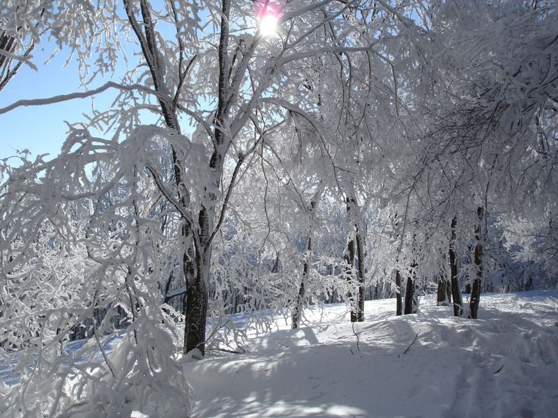 Winterspaziergang