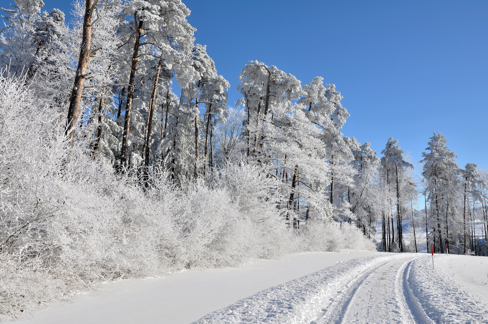 Winterspaziergang