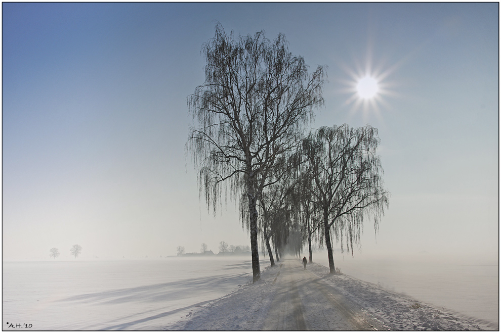 "Winterspaziergang"