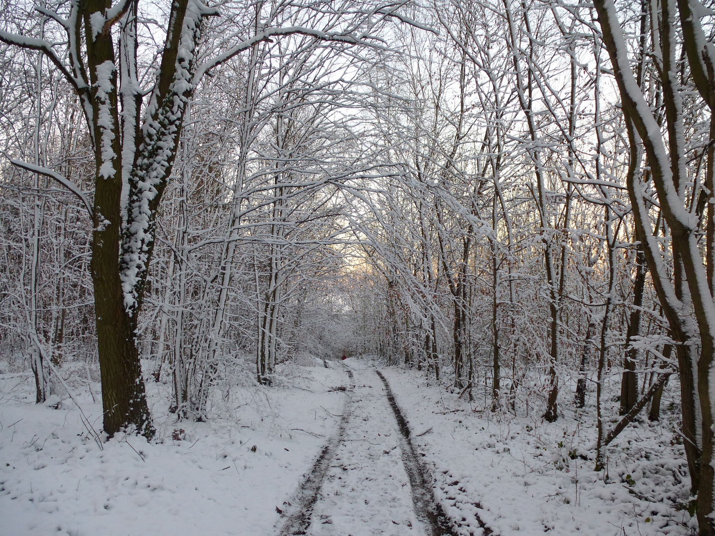 winterspaziergang 8