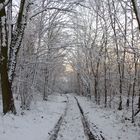 winterspaziergang 8