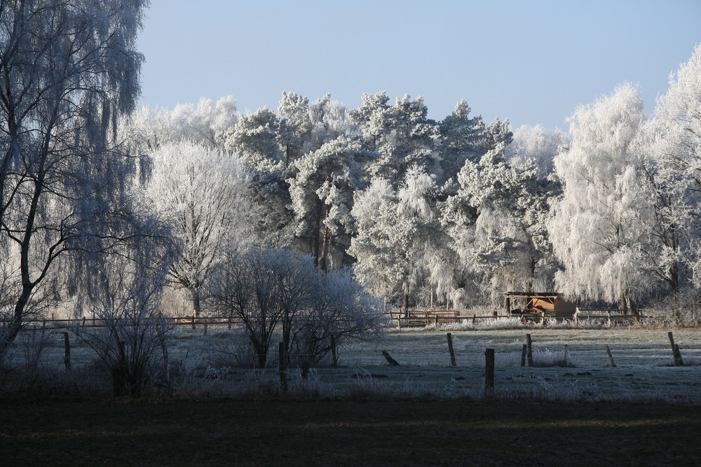 Winterspaziergang