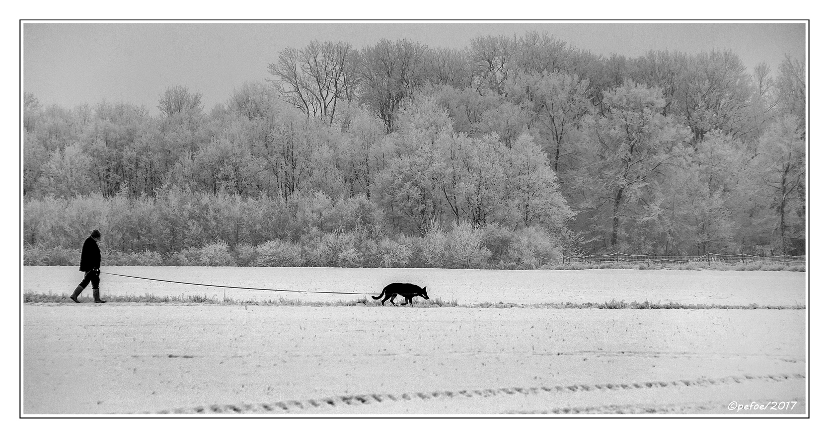 Winterspaziergang