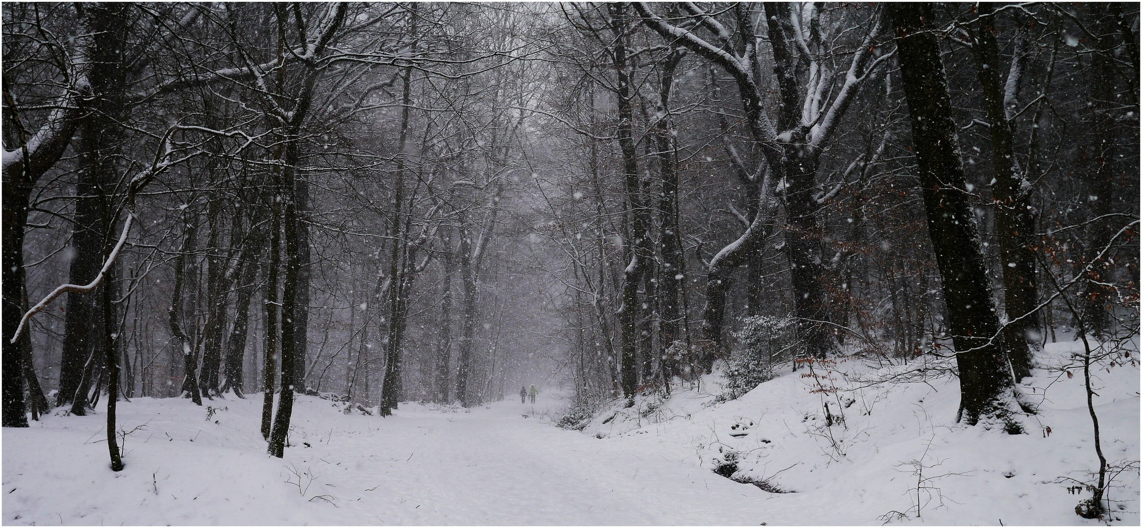 Winterspaziergang