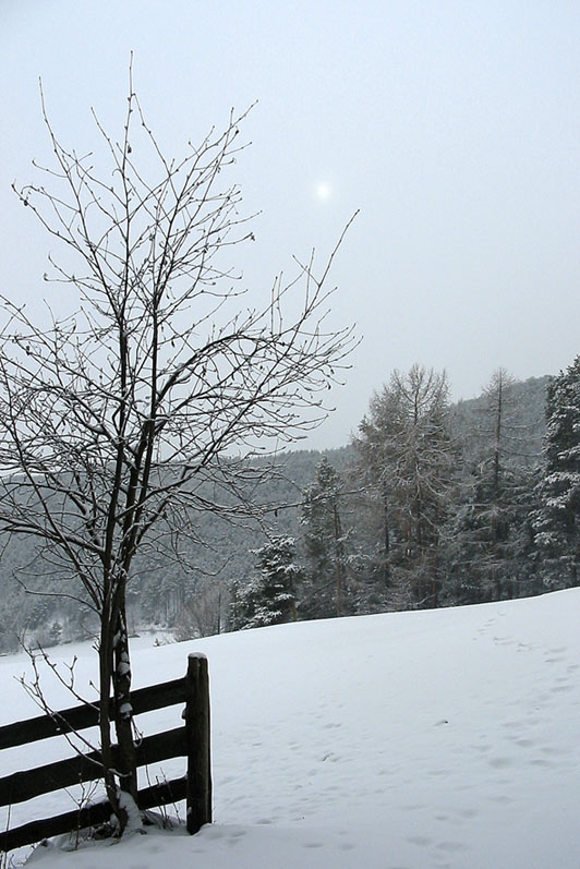 Winterspaziergang