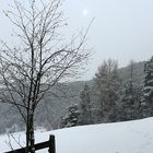 Winterspaziergang