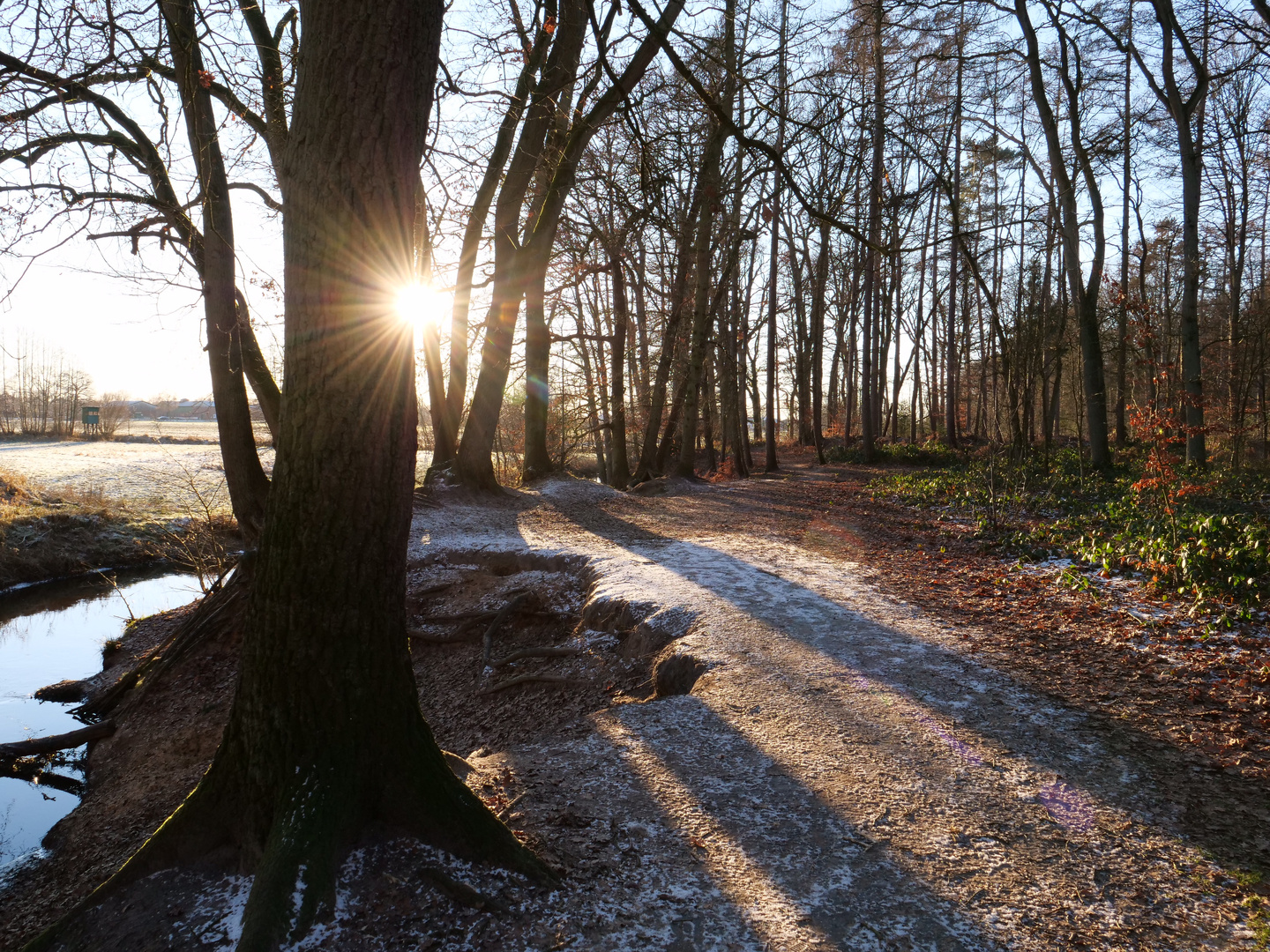 Winterspaziergang