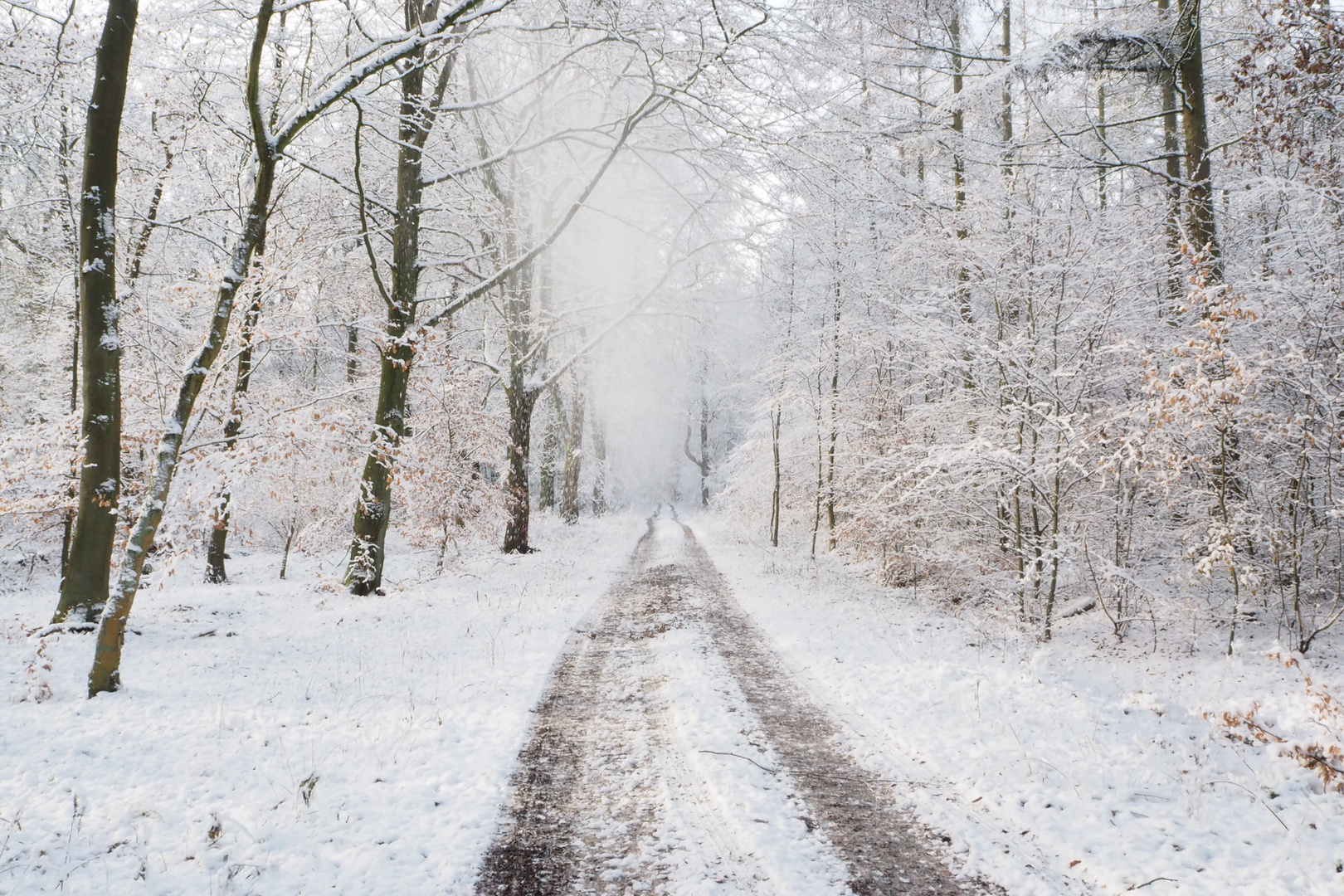 Winterspaziergang