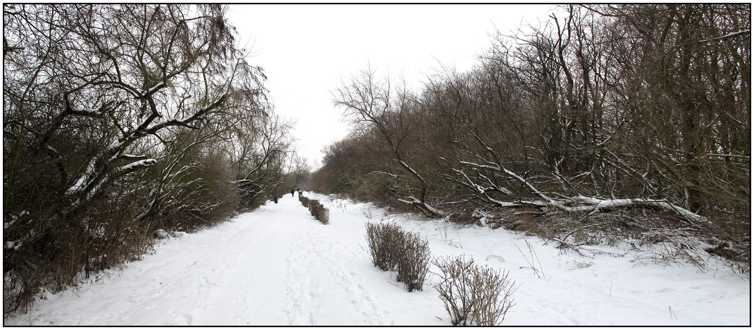 Winterspaziergang