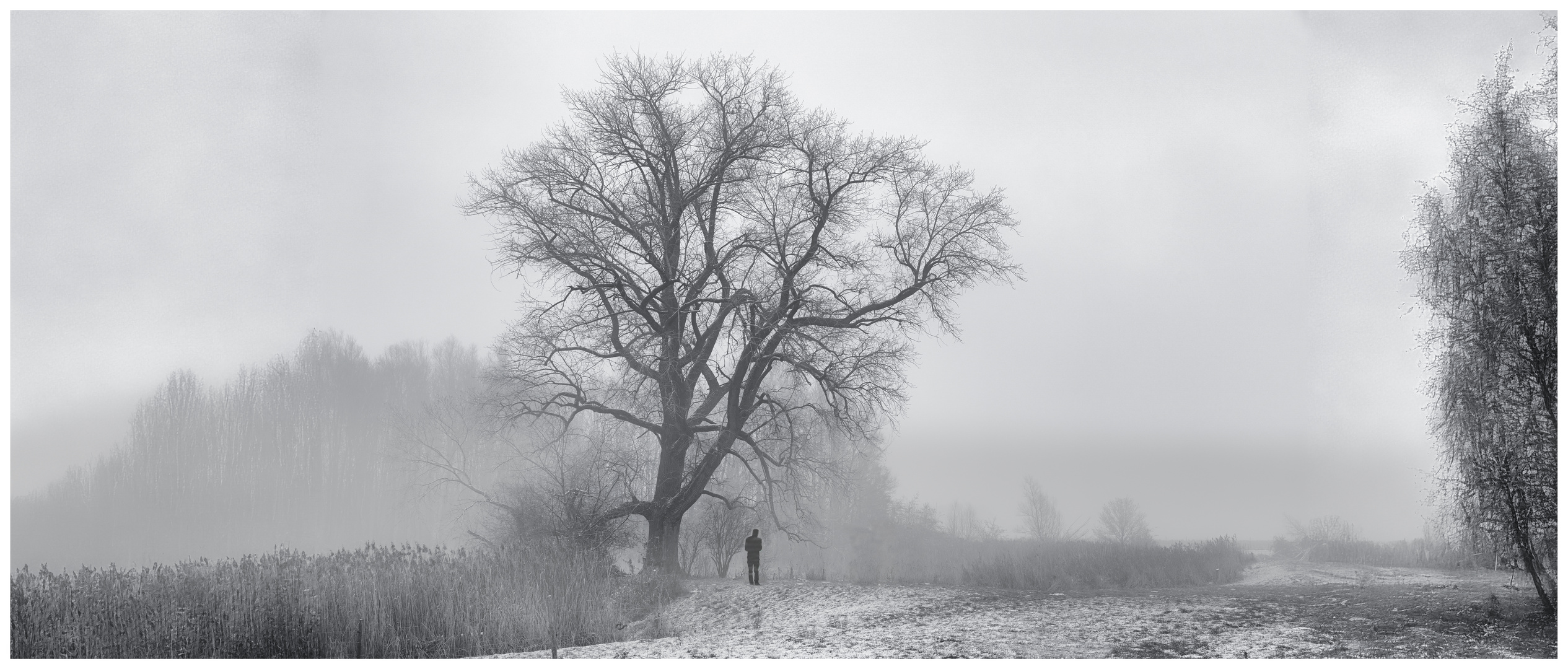 Winterspaziergang