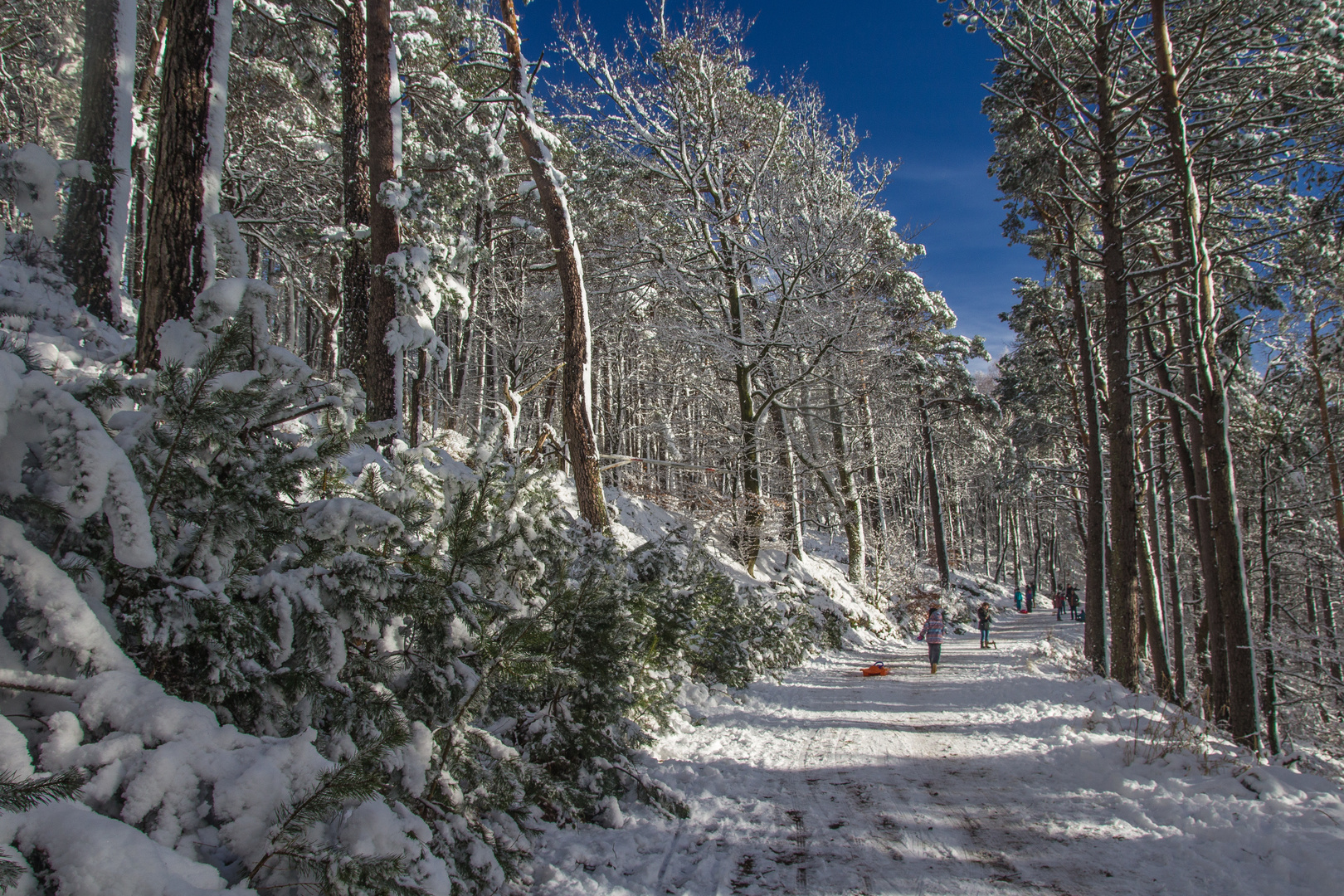 Winterspaziergang