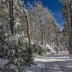 Winterspaziergang