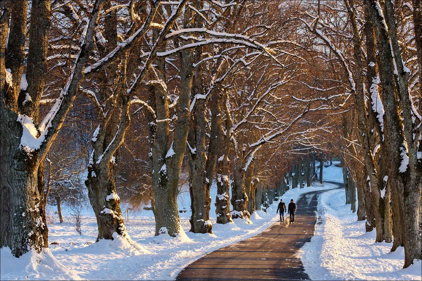 Winterspaziergang