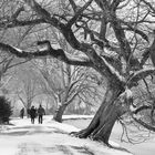 Winterspaziergang