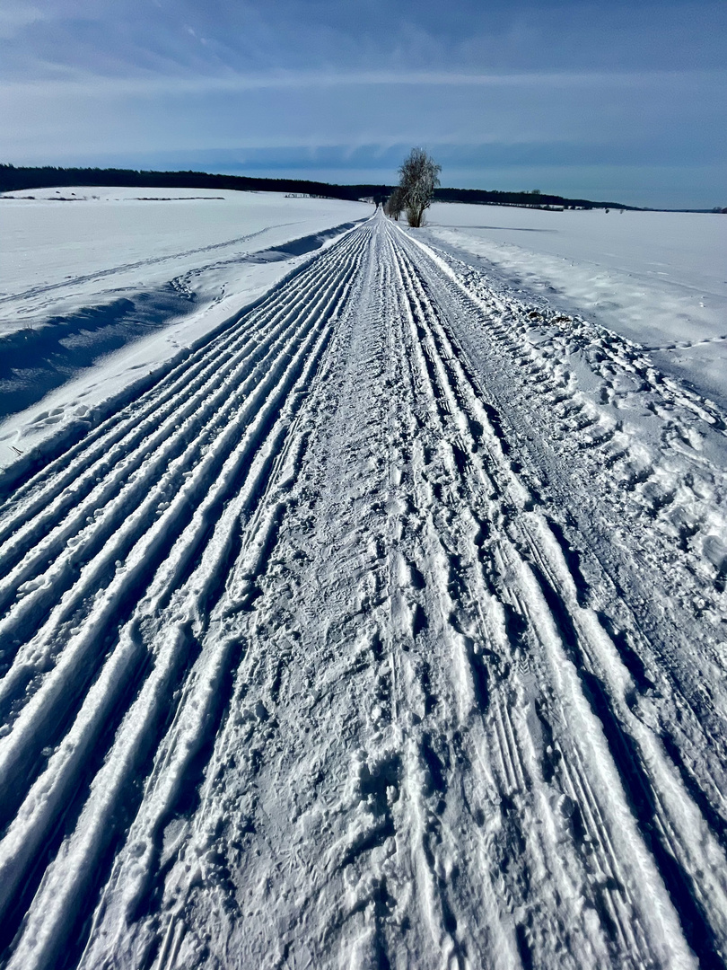 Winterspaziergang