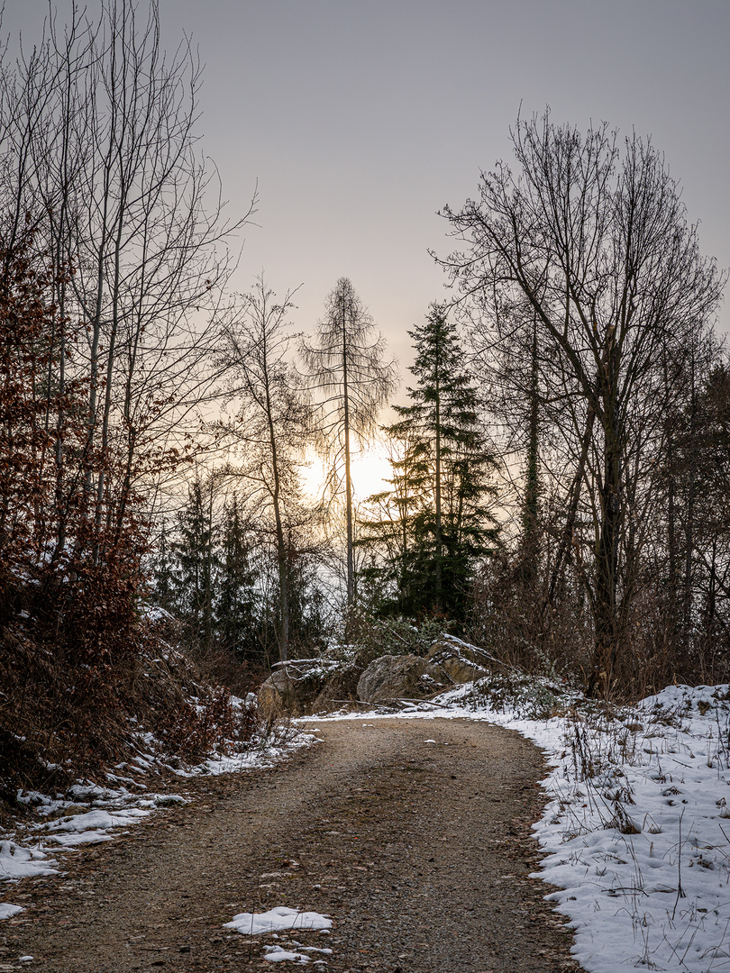 Winterspaziergang