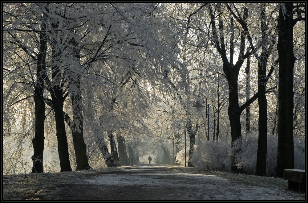 Winterspaziergang