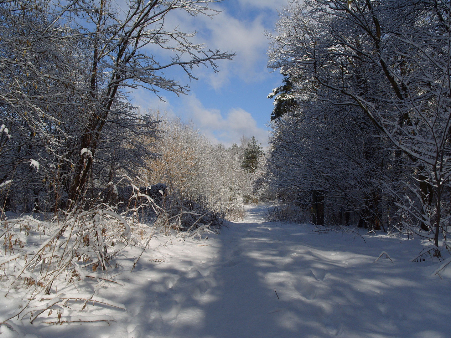                     " Winterspaziergang"