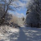                     " Winterspaziergang"