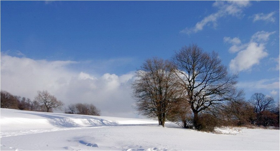 Winterspaziergang