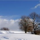 Winterspaziergang