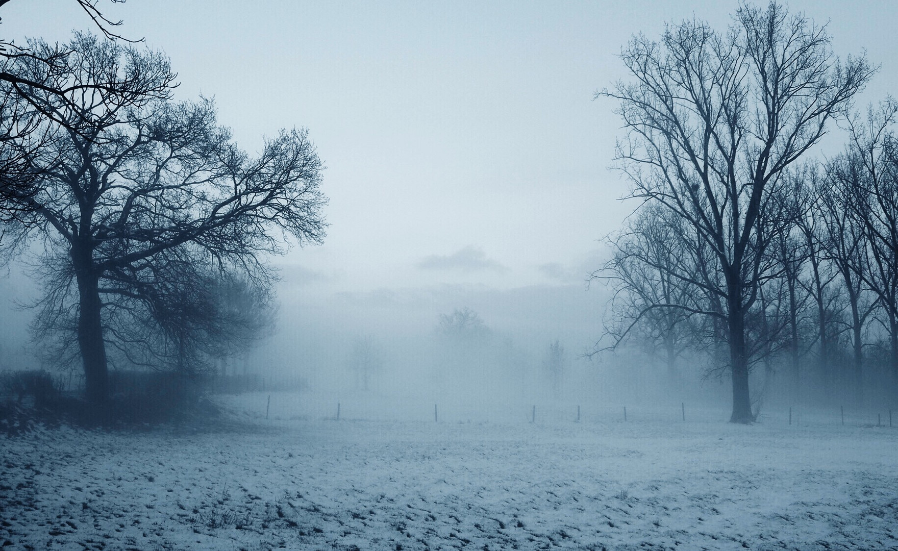 winterspaziergang