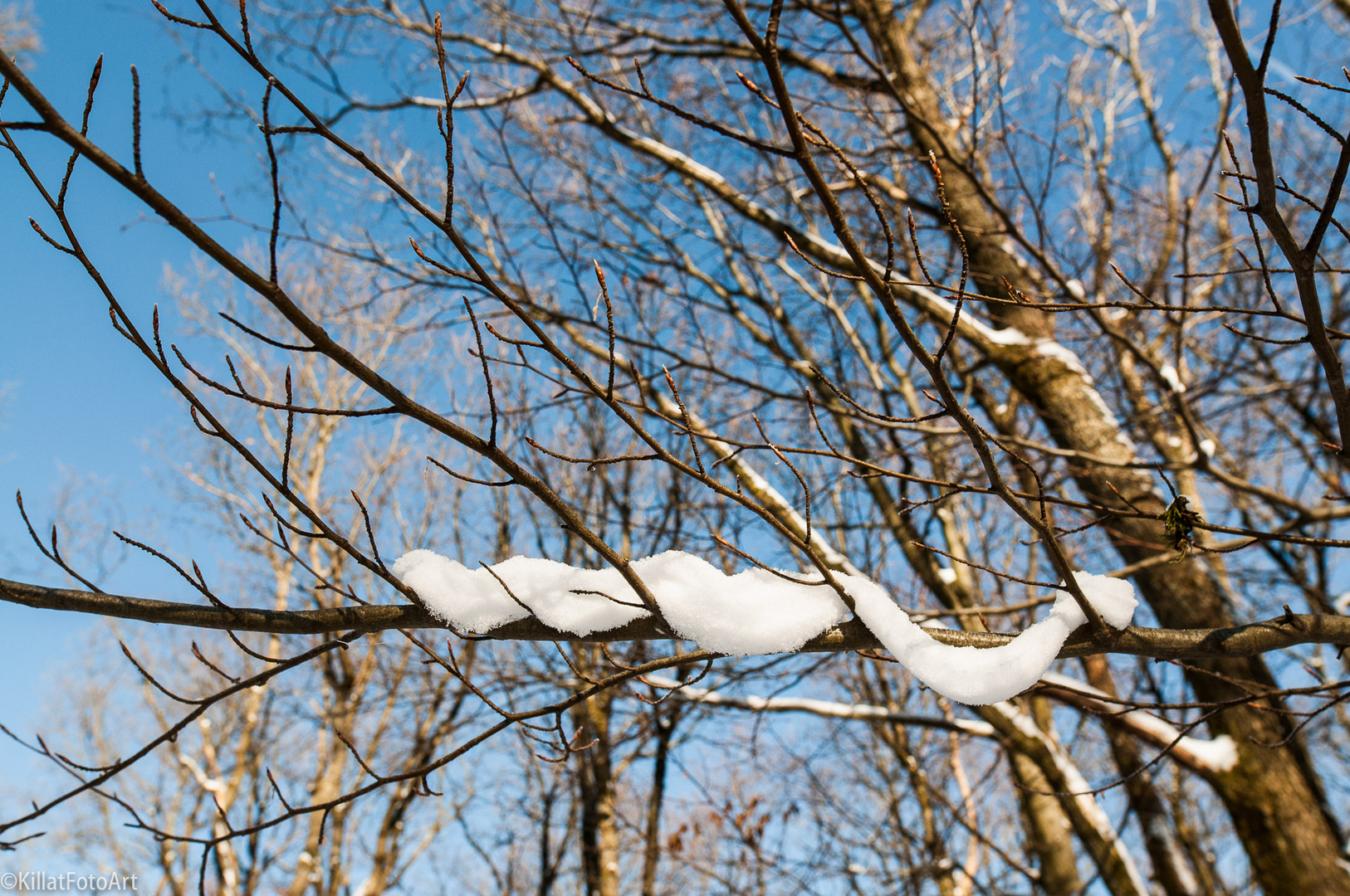 Winterspaziergang