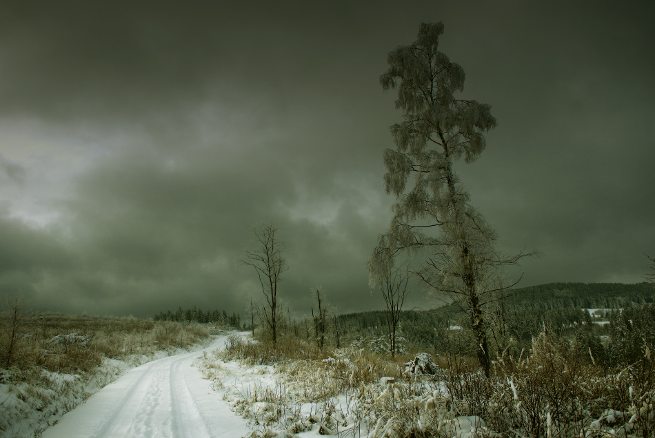 Winterspaziergang