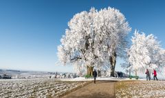 Winterspaziergang