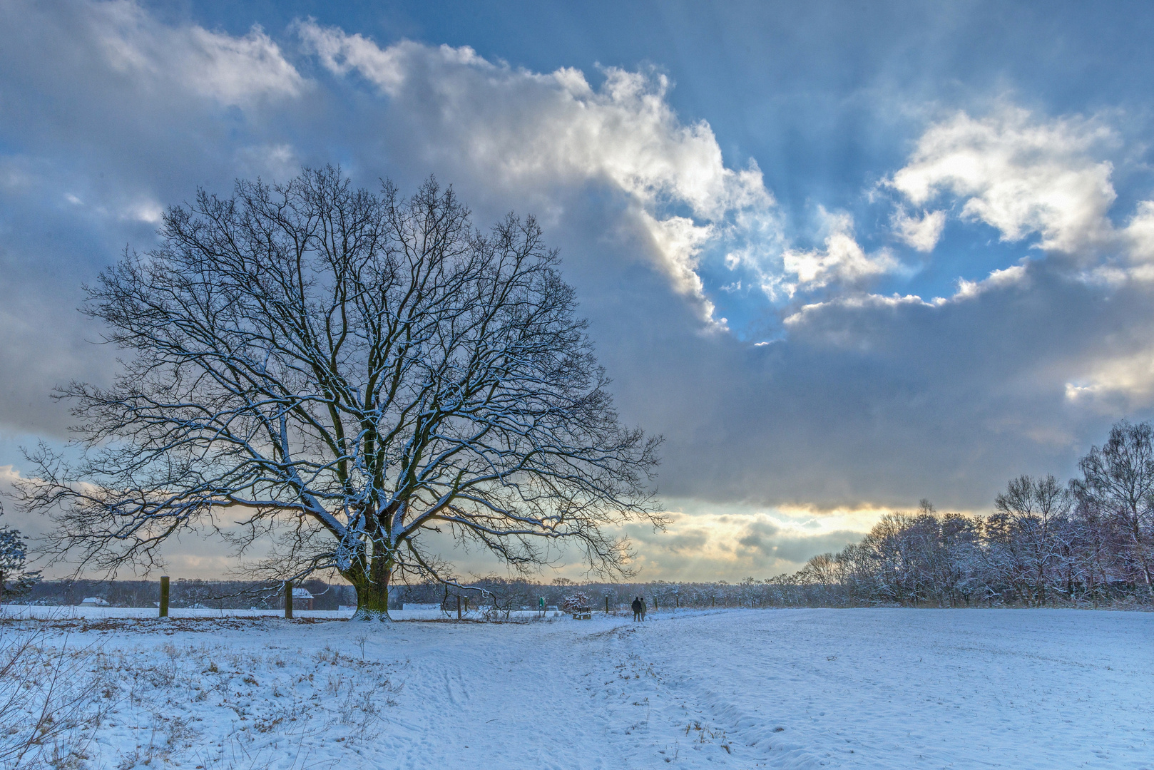 Winterspaziergang