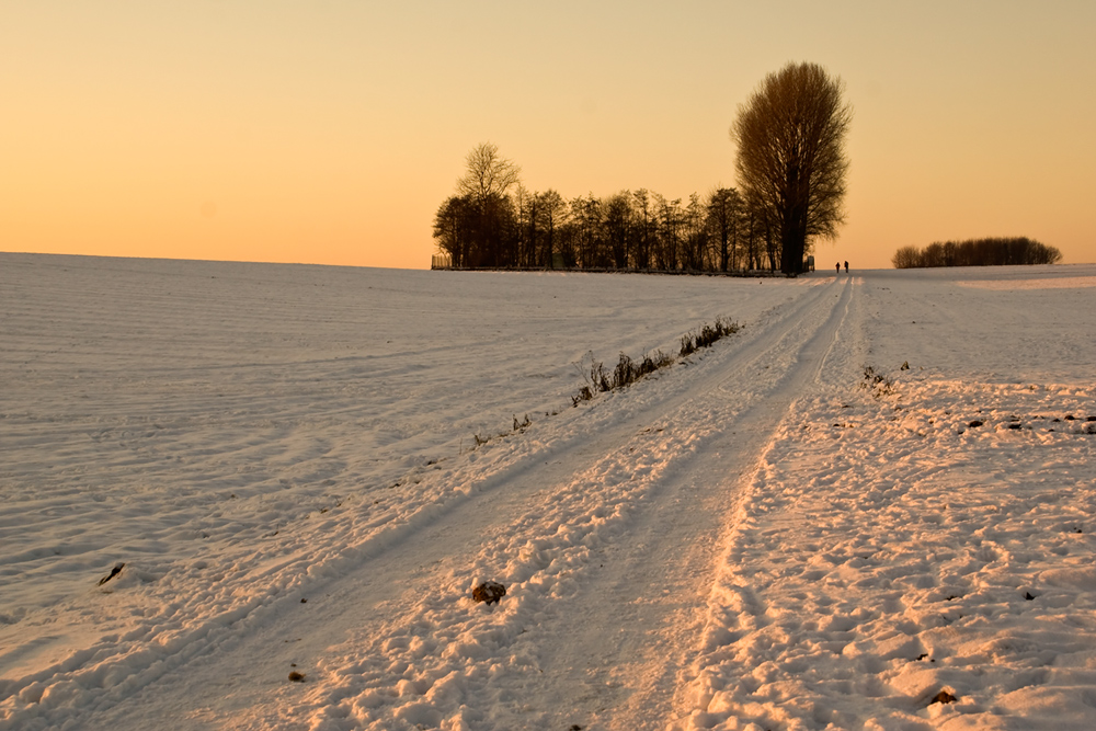 Winterspaziergang