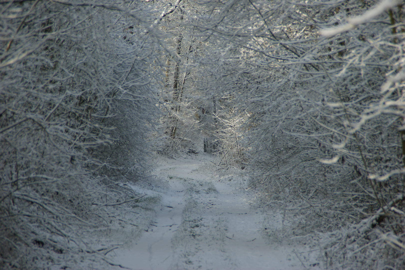 Winterspaziergang