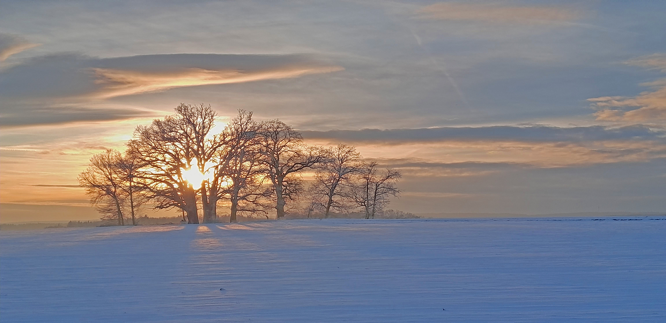 Winterspaziergang