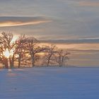 Winterspaziergang