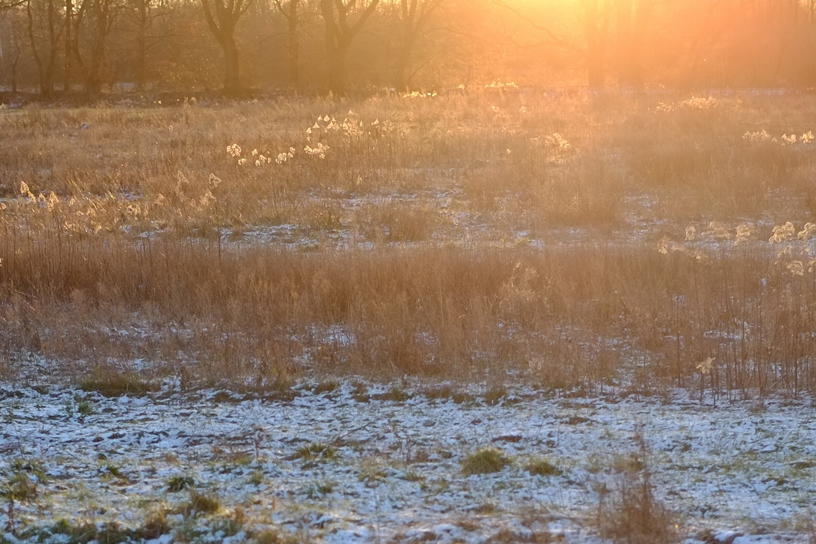 Winterspaziergang