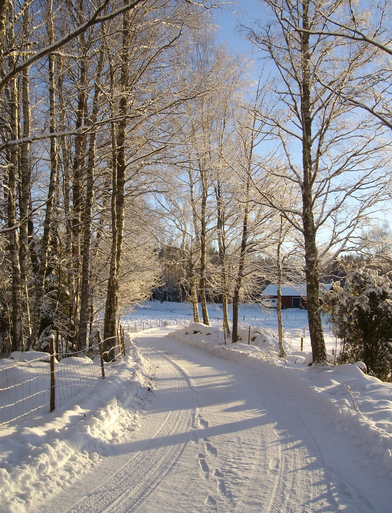  Winterspaziergang