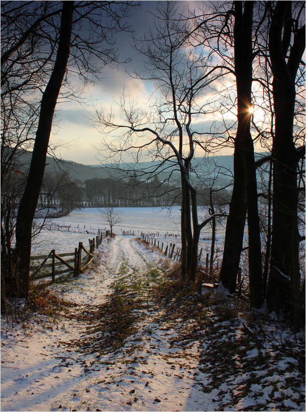 Winterspaziergang