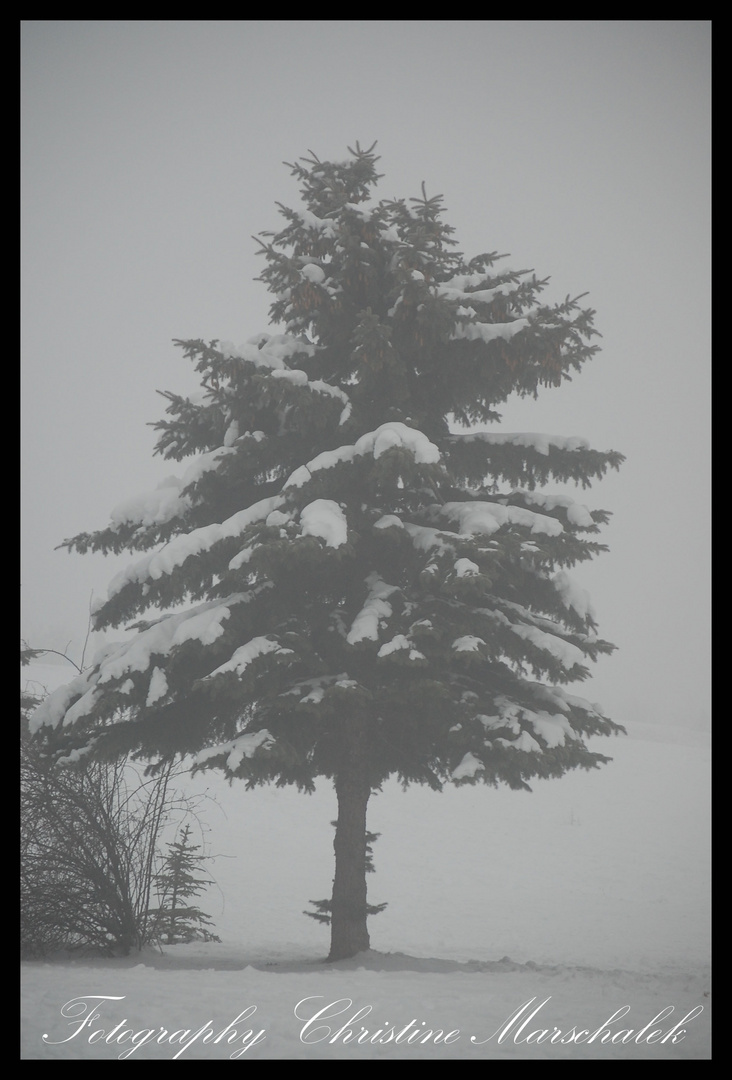 WINTERSPAZIERGANG